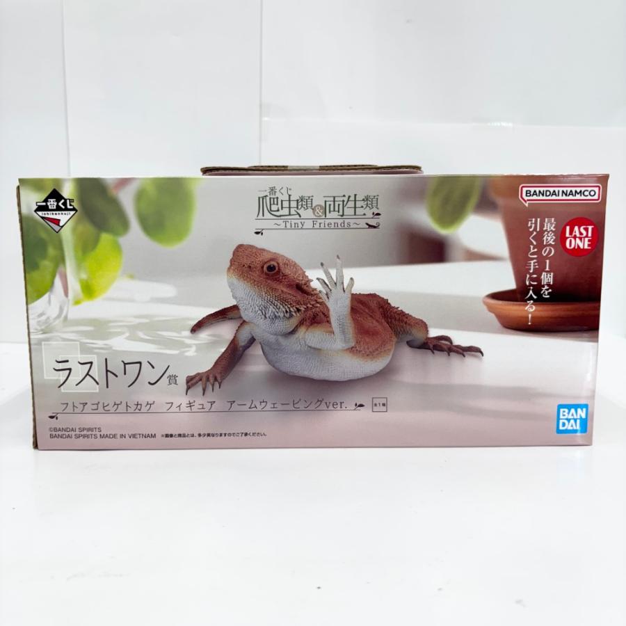 中古】【未開封】フトアゴヒゲトカゲ アームウェービングver