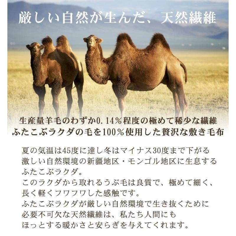 正規代理店 背中を温めると全身があたたかい 冷え予防 腰痛予防 吸湿発熱 キャメル100 ファー 洗えるキャメルファー敷き毛布 ダブルサイズ 140 5cm 日本製 シーツ カバー Www Reinnec Cl