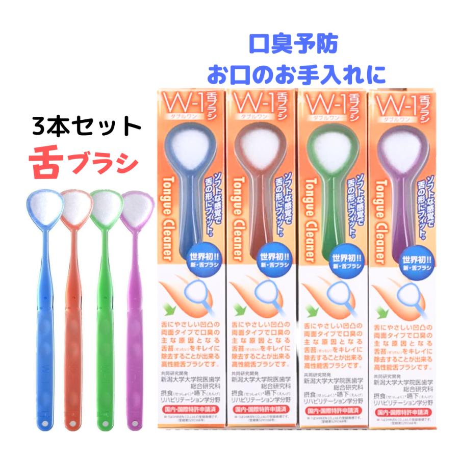 鯨歯3本セット 鯨歯3本セット 鯨歯3本セット 鯨歯3本セット Root