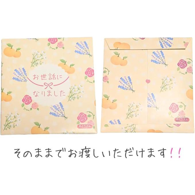Kao（花王） めぐりズム ぷちギフト お世話になりました 2枚入り×6