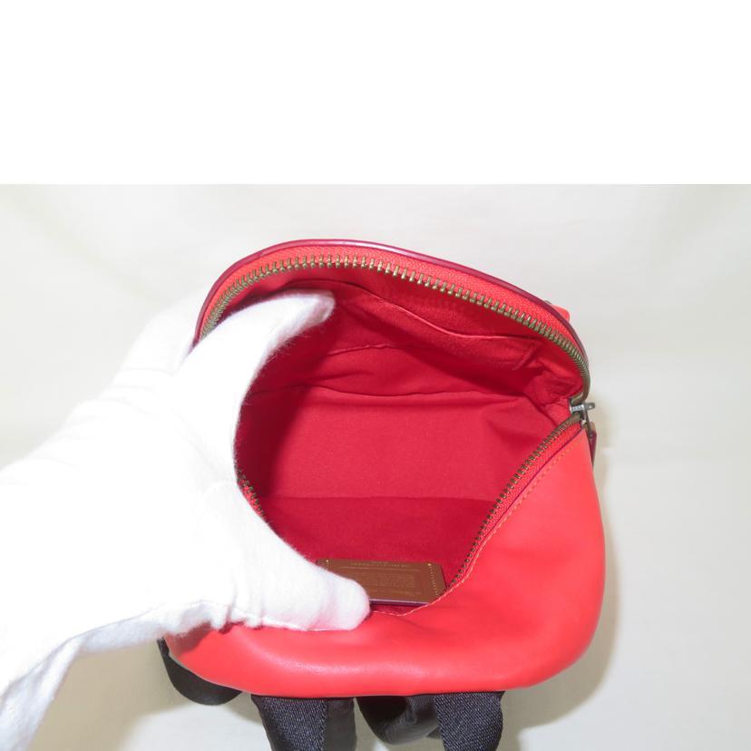 COACH コーチ/リュック / ディズニーコラボ/59837/Aランク/81【中古  