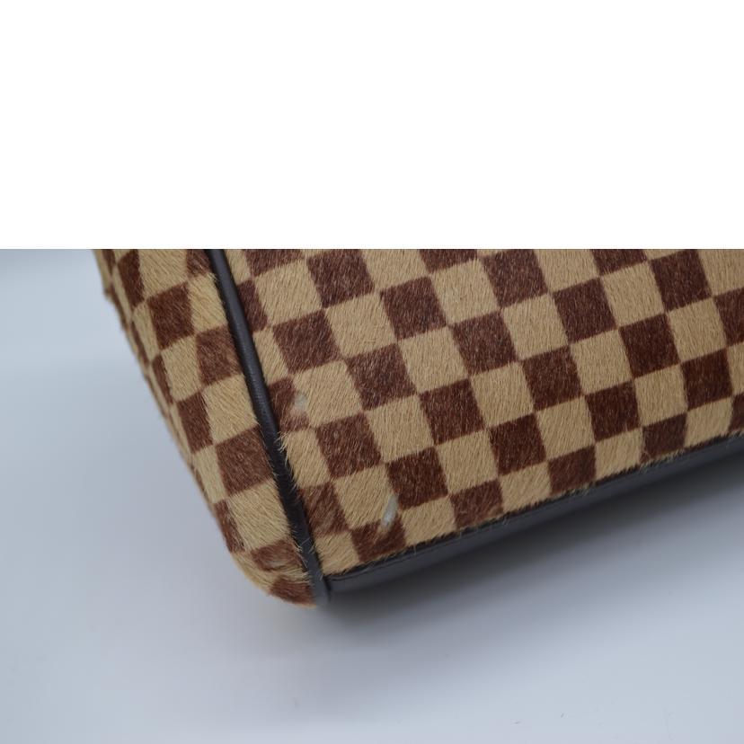 br>LOUIS VUITTON ルイヴィトン/ライオン/ダミエ・ソバージュ