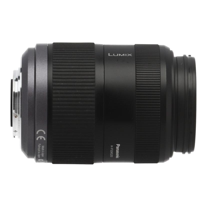 Panasonic（パナソニック） パナソニック/交換レンズ/45−200mm/H