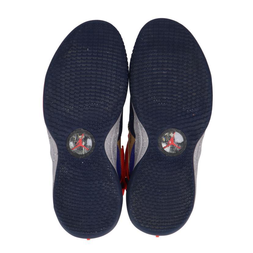 NIKE（ナイキ） ナイキ/AJ XXX PF/BV5072-200/27.5cm/メンズスニーカー