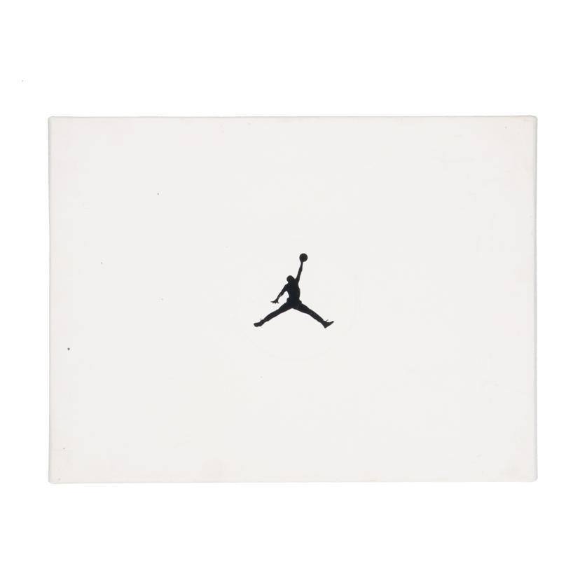 NIKE（ナイキ） ナイキ/AJ XXX PF/BV5072-200/27.5cm/メンズスニーカー