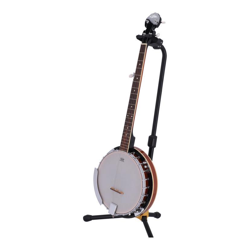 ☆SOLD☆ARIA SB-10 ～5Strings Banjo ハードケース&DVD付属 Aria