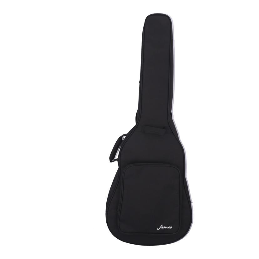James ジェームス/アコースティックギター/J-300A2/JE24120532/Aランク
