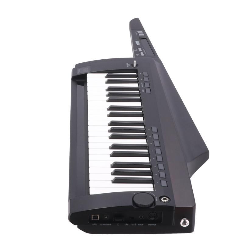 KORG コルグ/シンセサイザー/ステージキーボード/PK-100S 2BK/002630/ABランク/62【中古】の画像