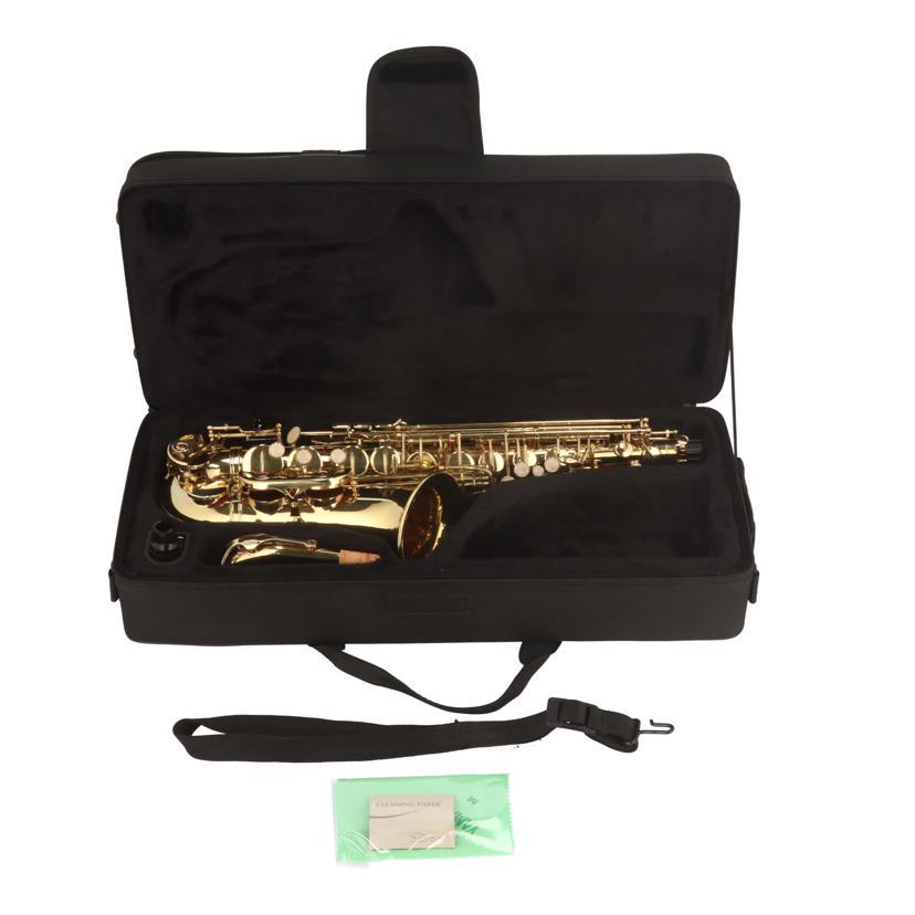 J.MICHAEL （Jマイケル）アルトサックス AL-500 器 ケース付