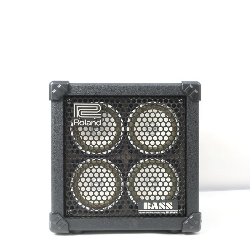 Roland ローランド/ベースアンプ ACアダプターなし/MICRO CUBE BASS RX