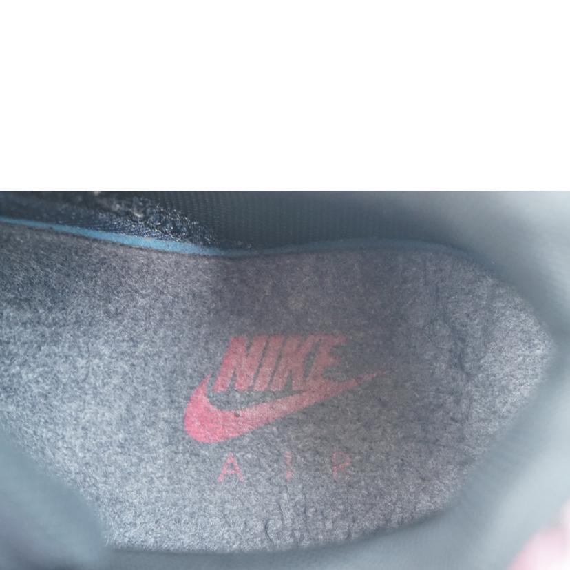 NIKE（ナイキ） ナイキ/AIR MAX 95 PREMIUM/CU6723-076/28.5/Aランク