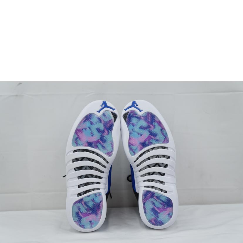 NIKE（ナイキ） ナイキ/AIR JORDAN 12 RETRO 26.5/AO6068-004/Aランク