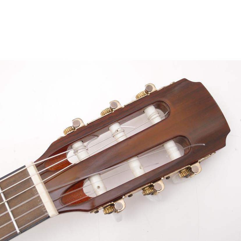 Aria アコースティックギター ARIA アリア FET-F2 STBL Elecord Stained Blue w/Bag エレクトリック