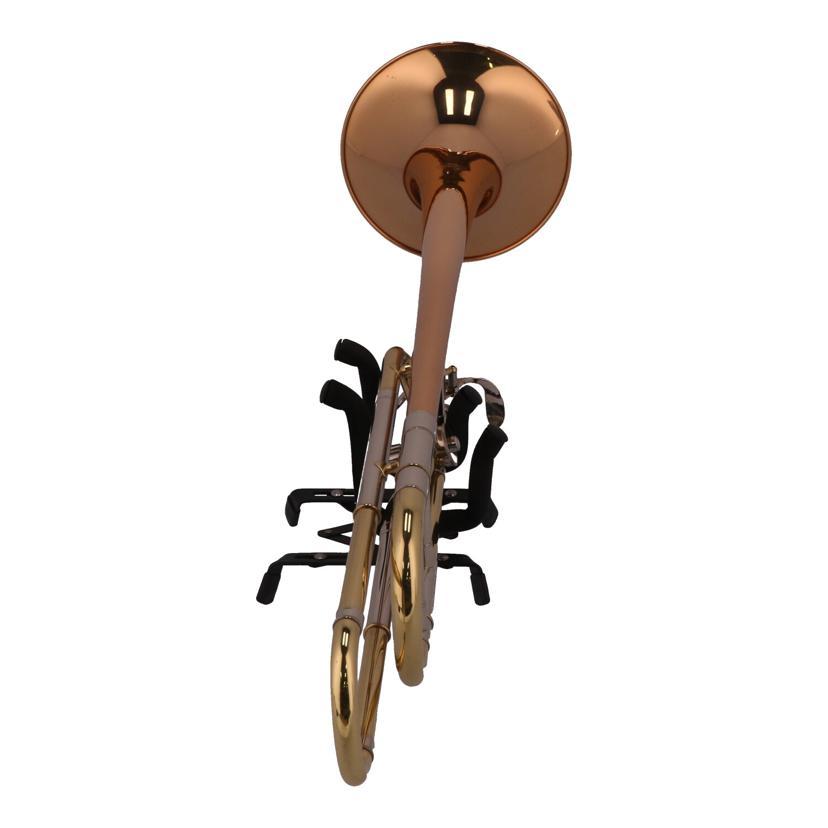 Hamars ハマーズ/テナーバストロンボーン/不明/管楽器/Bランク/69【中古】 Hamars ハマーズ/テナーバストロンボーン/不明/管楽器/Bランク/69