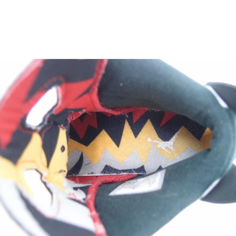 Jordan NIKE ナイキ/AIR JORDAN 6RETRO/CT8529-062/27/Bランク/69