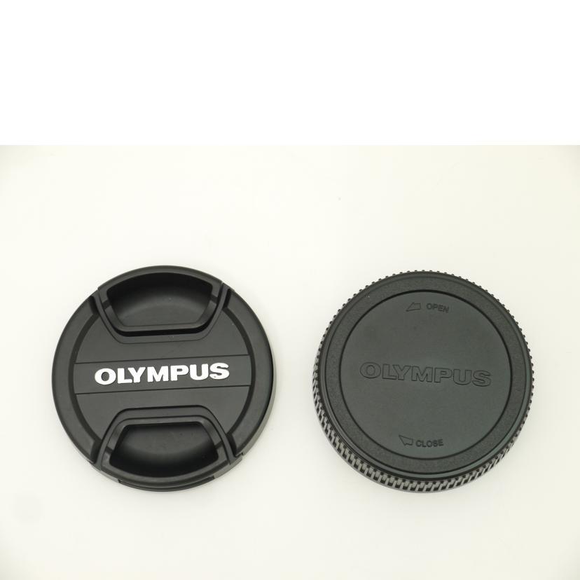 OLYMPUS オリンパス/交換レンズ/ZUIKO DIGITAL ED 70-300mm F4