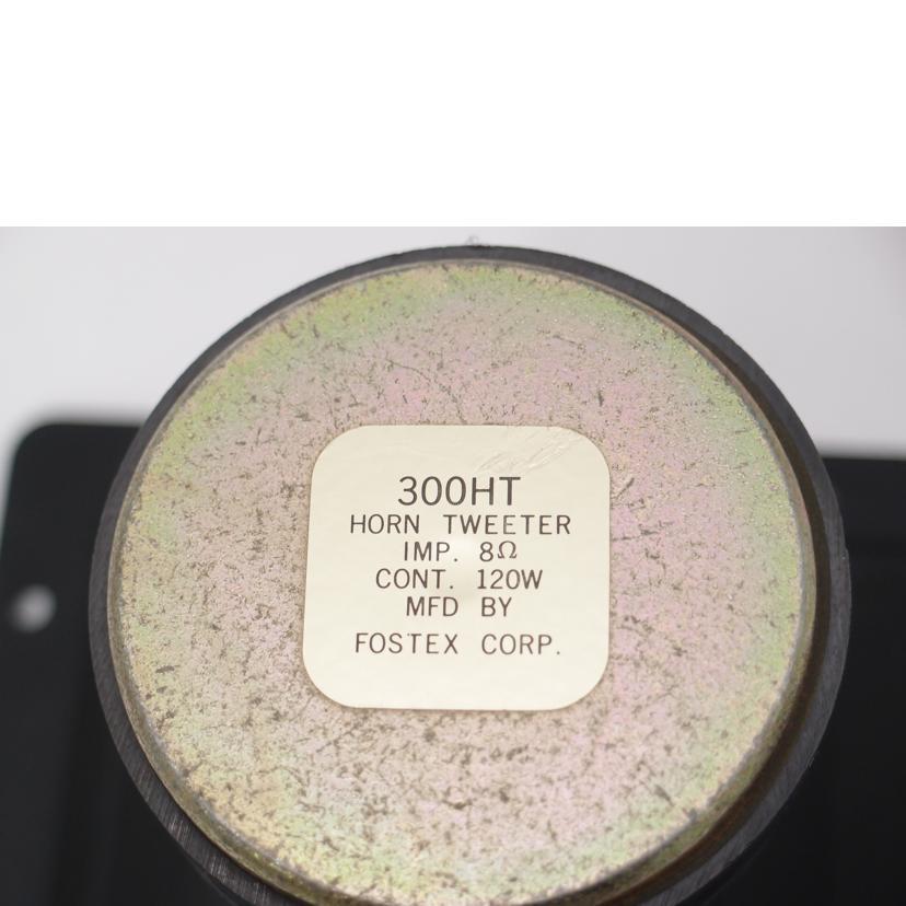 FOSTEX フォステクス/ホーン型ツィーター（ペア）/300HT/AB