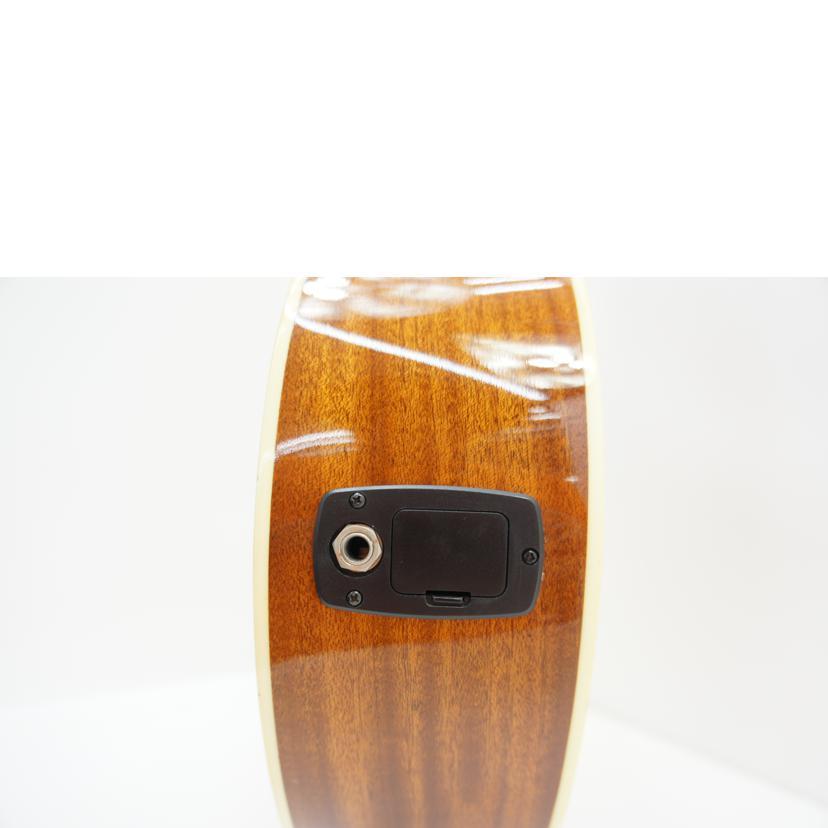 James ジェームス/アコースティックギター/J-450/NAT/J09091325/AB
