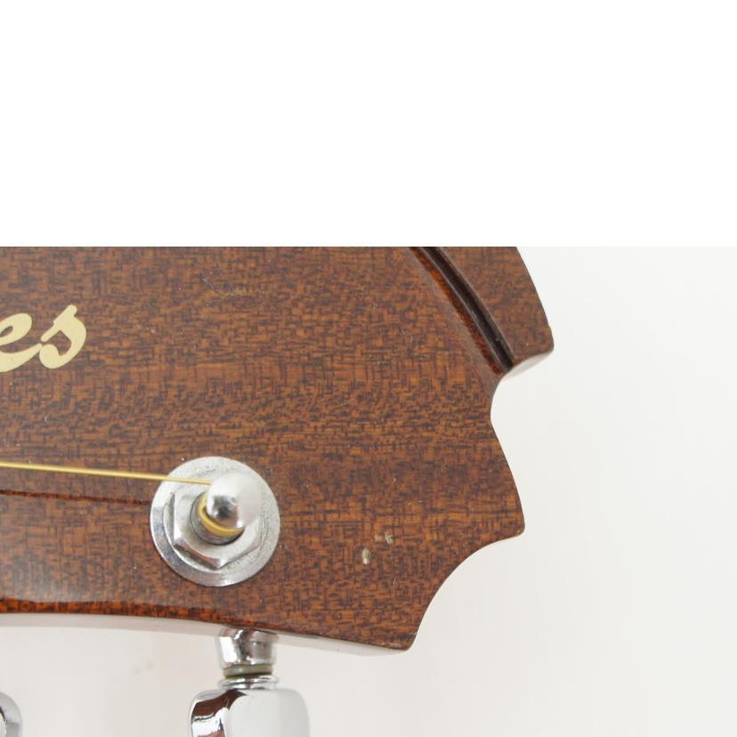 James ジェームス/アコースティックギター/J-450/NAT/J09091325/AB
