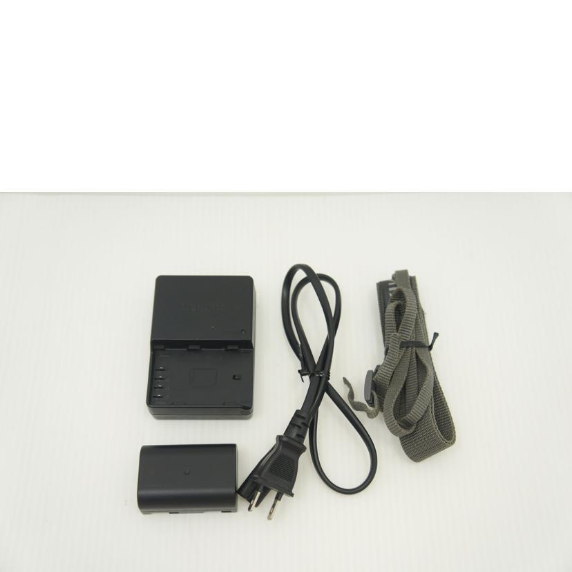 Panasonic Panasonic/ミラーレス一眼/LUMIX DC-GH5 ボディ/31049