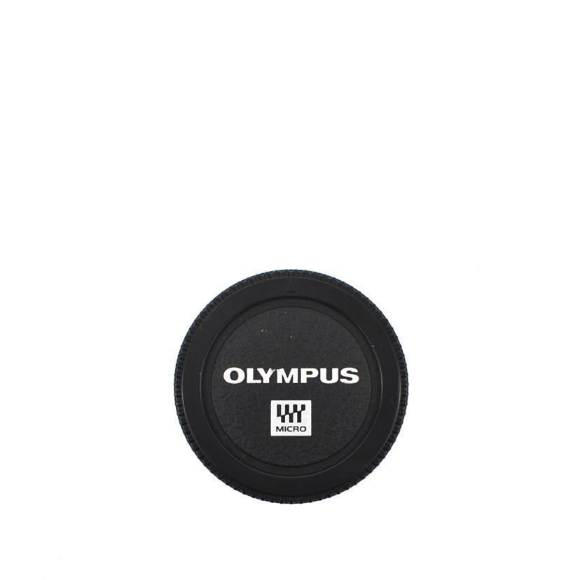 OLYMPUS オリンパス/ミラーレス一眼/OM-D E-M1X ボディ/BJ4A15465/A