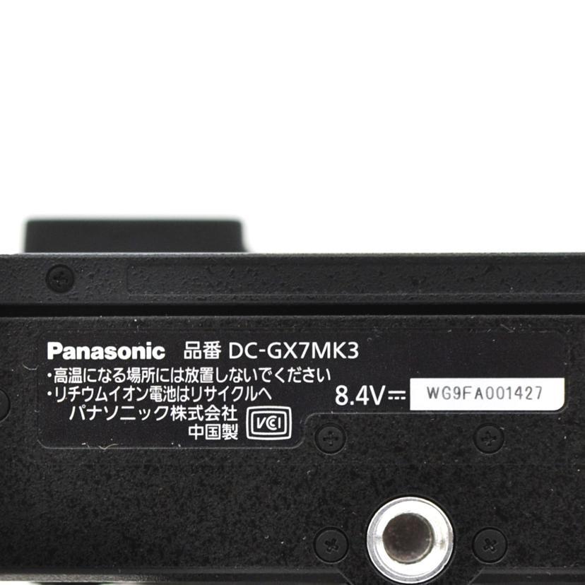 Panasonic（パナソニック） LUMIX パナソニック/ミラーレス一眼/DC