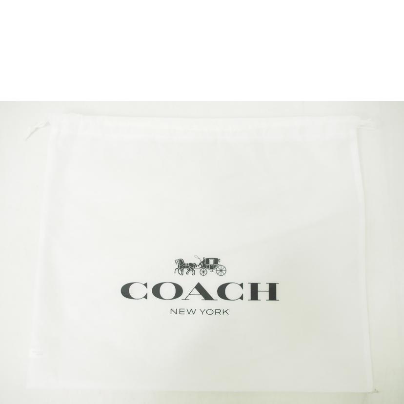 SNOOPY（スヌーピー） COACH コーチ/PEANUTSコラボ Tシャツ/M/メンズ
