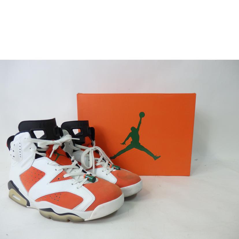 NIKE/NIKE AIR JORDAN 6 RETRO 28.0cm/384664-145/28/メンズスニーカー/ABランク/84【中古】｜wonderrex-ec｜09