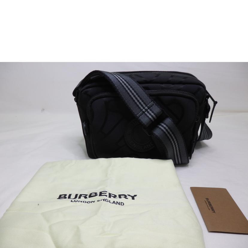 BURBERRY バーバリー/TB柄/パディ/ショルダーバッグ/8029989/Aランク  