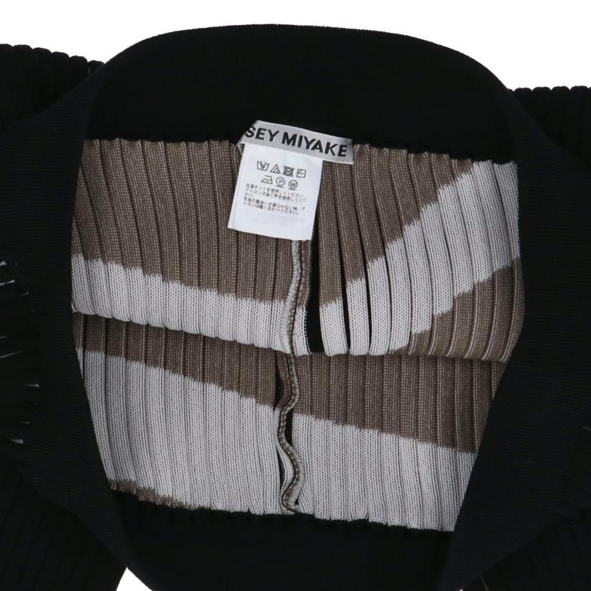 ISSEY MIYAKE（イッセイミヤケ） イッセイミヤケ/STRIPE PLATING KNIT