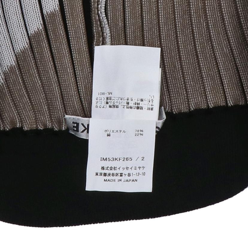 イッセイミヤケ　ISSEYパンツ　サイズ2 ISSEY MIYAKE（イッセイミヤケ） イッセイミヤケ/STRIPE PLATING KNIT