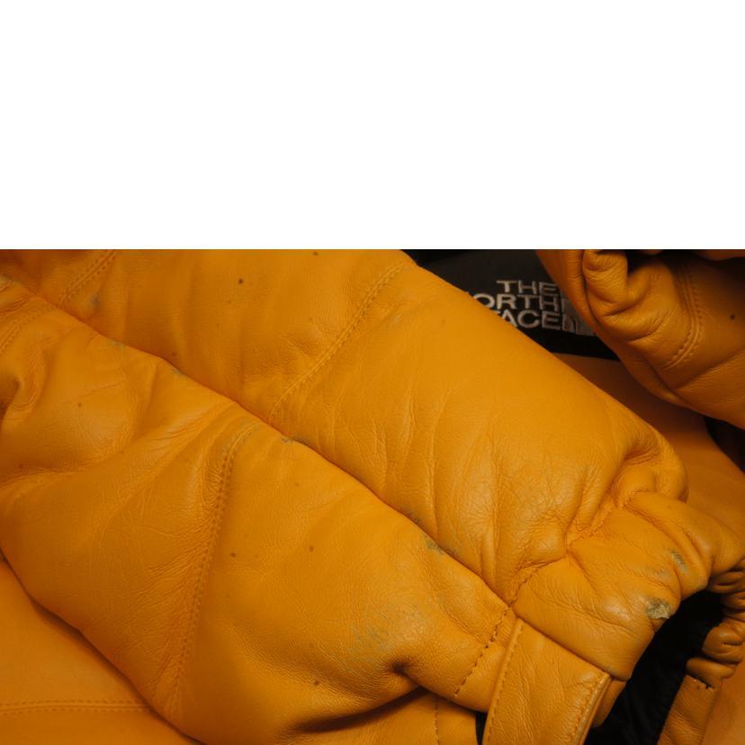 Supreme×THE NORTH FACE/17AWノースフェイスコラボラムレザーヌプシ