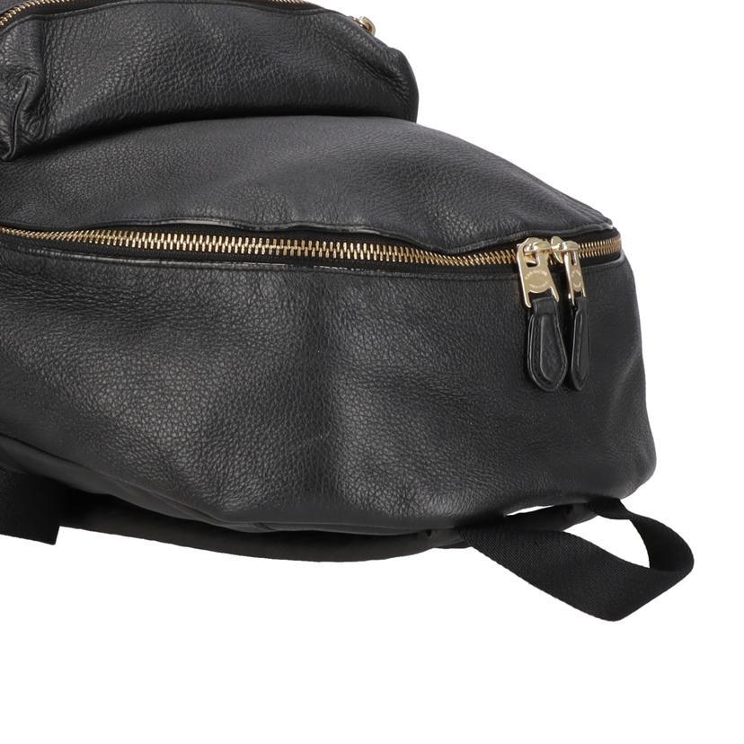 COACH（コーチ） コーチ/レザーリュックサック/F29004/E18**/ABランク