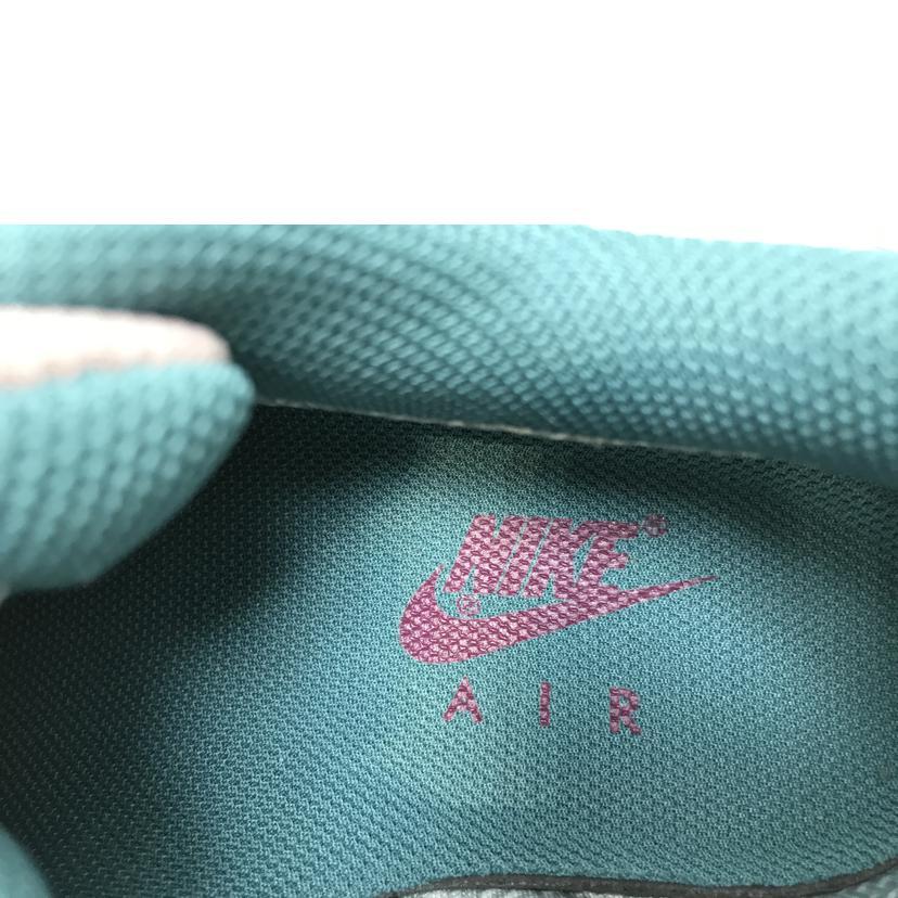 NIKE（ナイキ） ナイキ/AIR MAX 90GTX/DJ9779-200/ABランク/51【中古