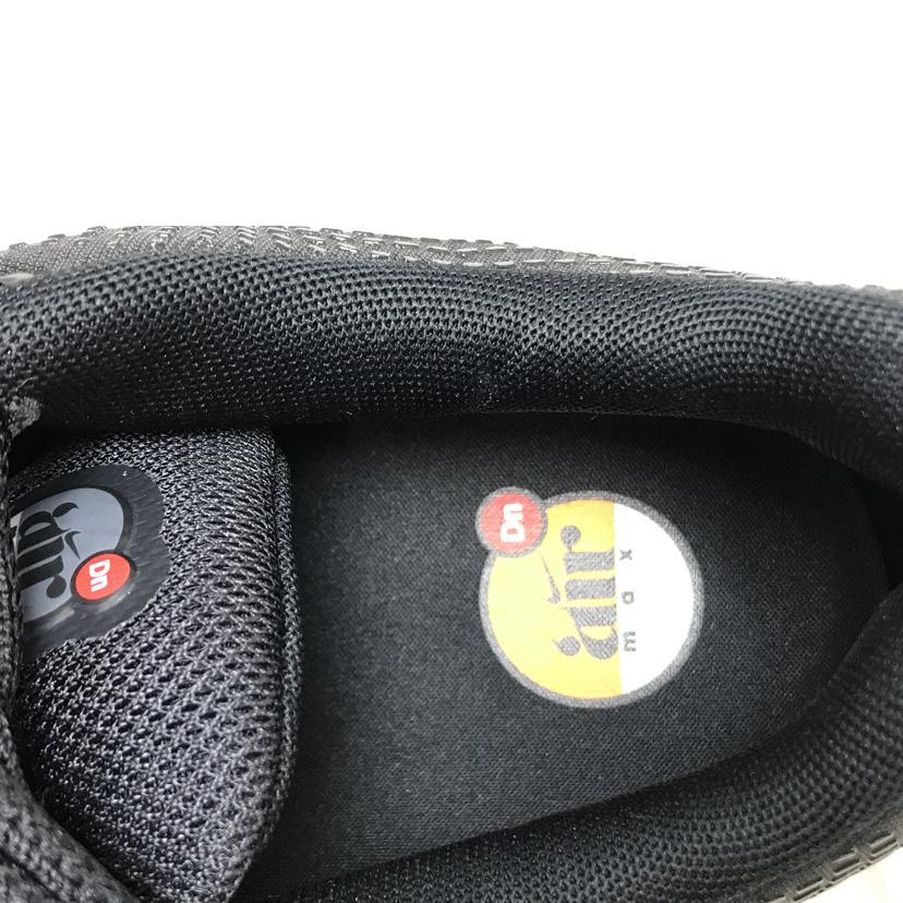 NIKE（ナイキ） ナイキ/AIR MAX DN/DV3337-008/Aランク/51【中古