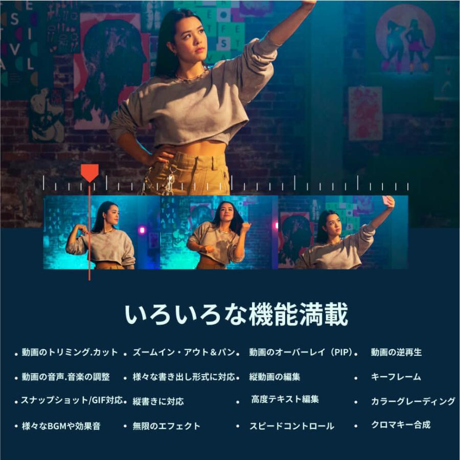 Empower Your Imagination Wondershare Filmora9 年間プラン Win版