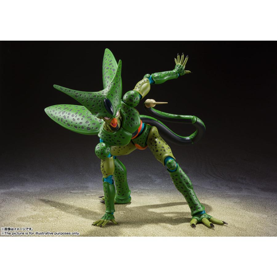 予約】【9月再販分】S.H.Figuarts セル 第一形態 ドラゴンボールZ