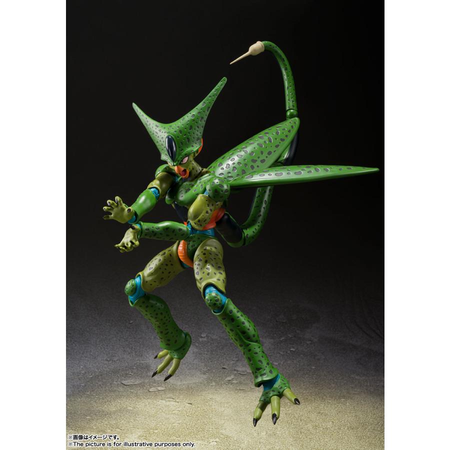 予約】【9月再販分】S.H.Figuarts セル 第一形態 ドラゴンボールZ