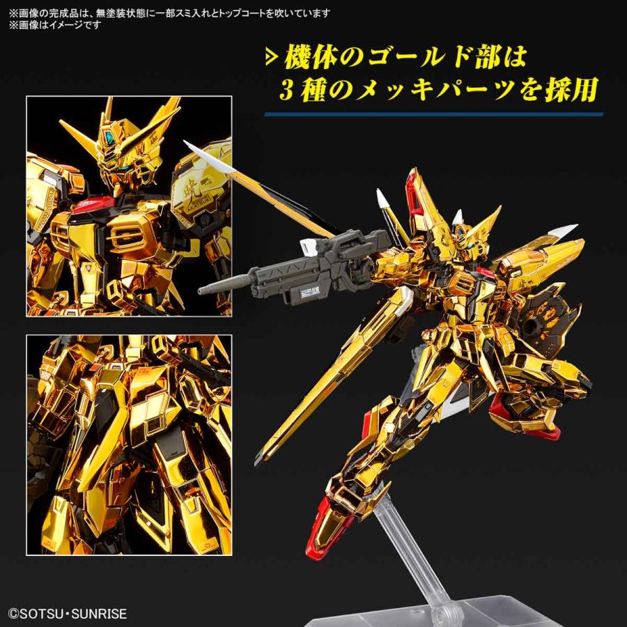 新品】RG 1/144 アカツキガンダム(オオワシ装備) 機動戦士ガンダムSEED