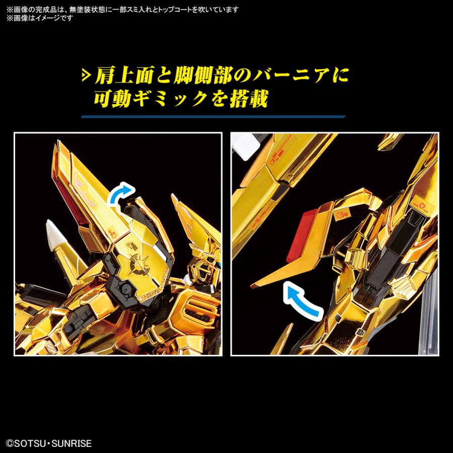 新品】RG 1/144 アカツキガンダム(オオワシ装備) 機動戦士ガンダムSEED