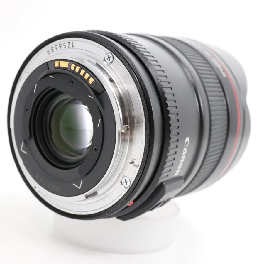 Canon 単焦点広角レンズ EF14mm F2.8 L II USM フルサイズ対応 : 1179 