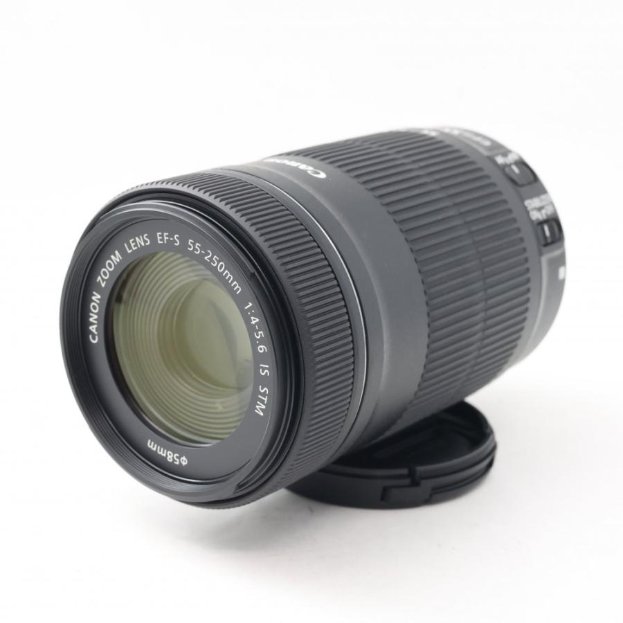 Canon デジタル一眼レフカメラ EOS 8000D ダブルズームキット EF-S18-55mm/EF-S55-250mm 付属 EOS8000D-WKIT｜wonderwans｜06