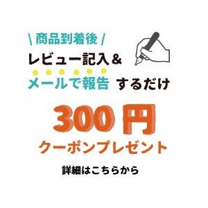 オープンシェルフ シェルフ フリーシェルフ パーテーション 間仕切り ブルー 青 おしゃれ 日本製 国産家具 無垢 海外インテリア 木製シェルフ 飾り棚 樺無垢｜wood-itsuki｜12