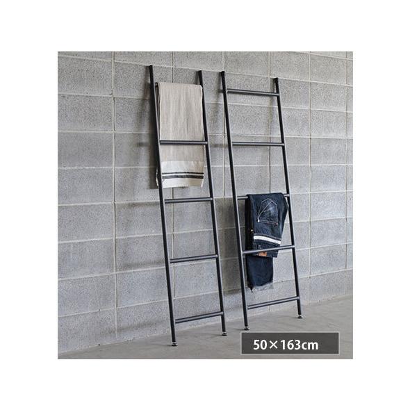 アイアンラダー 立て掛けシェルフ はしごシェルフ LADDER 幅39 50