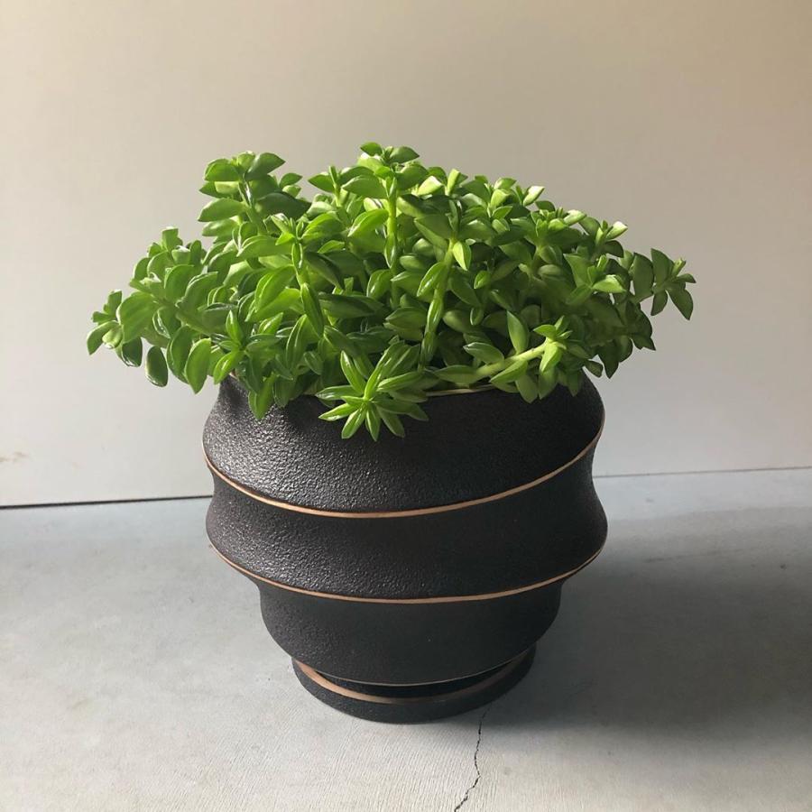 甕　プランター　陶器鉢　観葉植物　植木鉢　インテリア プランター 植木鉢 おしゃれ 観葉植物 陶器 多肉植物 室内 ブラック