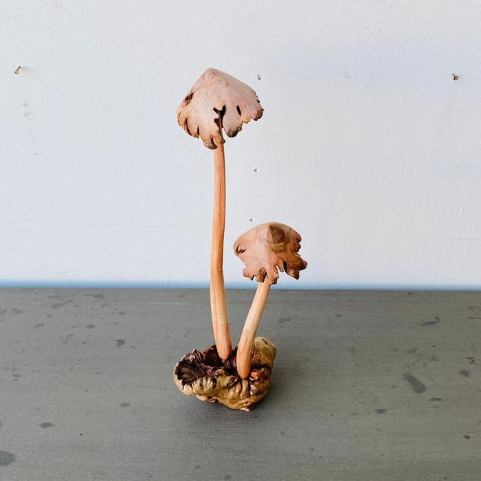 希少 Lucite Mushroom ヴィンテージ マッシュルーム 雑貨 キノコ USA 60s 70s VINTAGE LUCITE MUSHROOM ヴィンテージ ルーサイト
