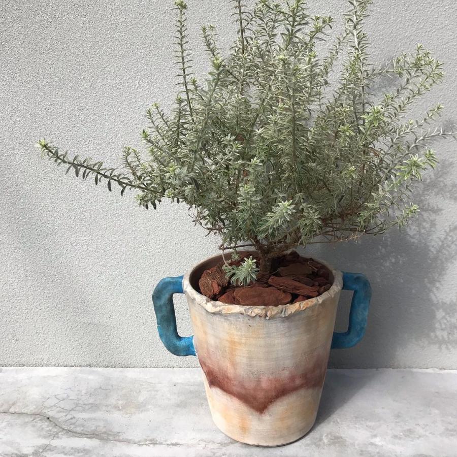 プランターカバー プランツカバー 鉢カバー 観葉植物 懸崖5号鉢用 植木鉢 テラコッタ ワイルド ウェスト ウエスタン 842 C9300 手づくり家具 ウッドギャラリー樹 通販 Yahoo ショッピング