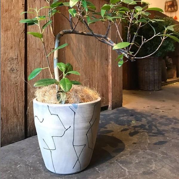 プランツカバー 鉢カバー 観葉植物 懸崖5号鉢用 植木鉢 842 C9304 手づくり家具 ウッドギャラリー樹 通販 Yahoo ショッピング