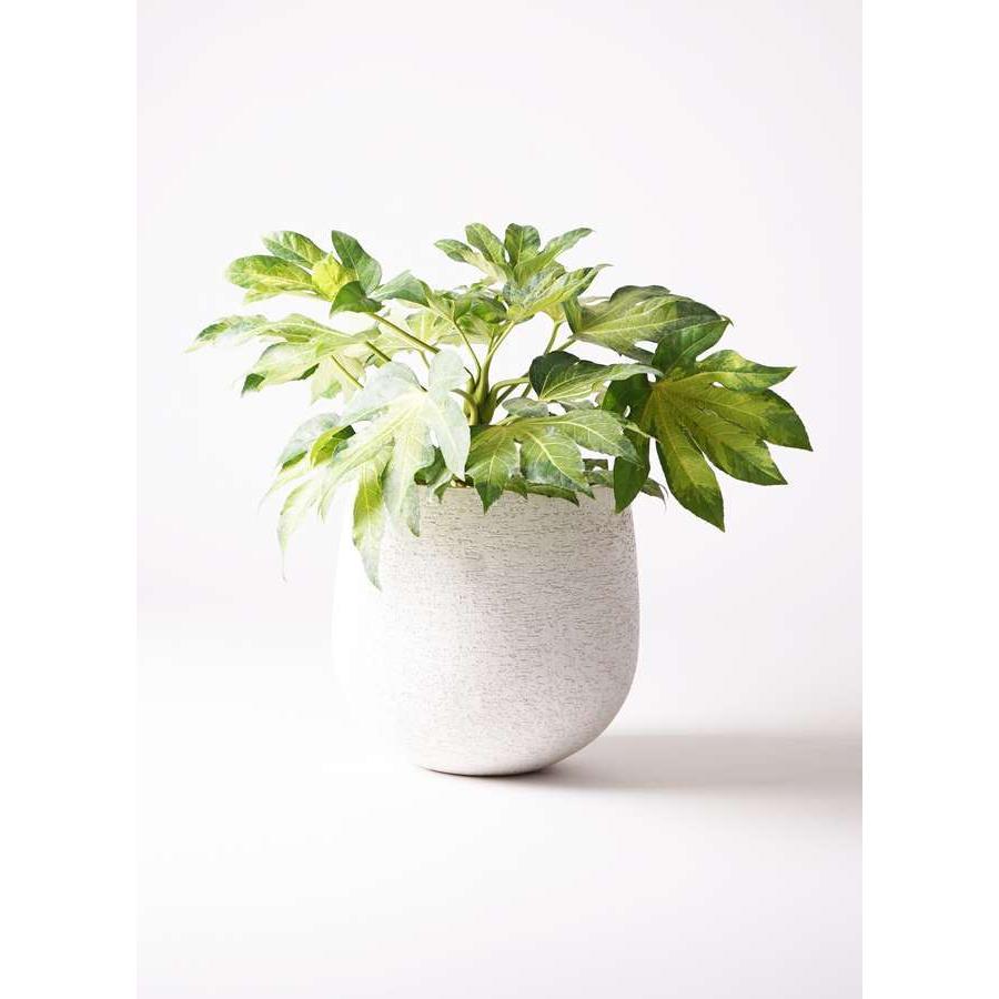 鉢カバー Eco Stone エコストーン 8号鉢用 グレー Gray 観葉植物 おしゃれ カバー インテリア 底穴なし 842 F1806 手づくり家具 ウッドギャラリー樹 通販 Yahoo ショッピング