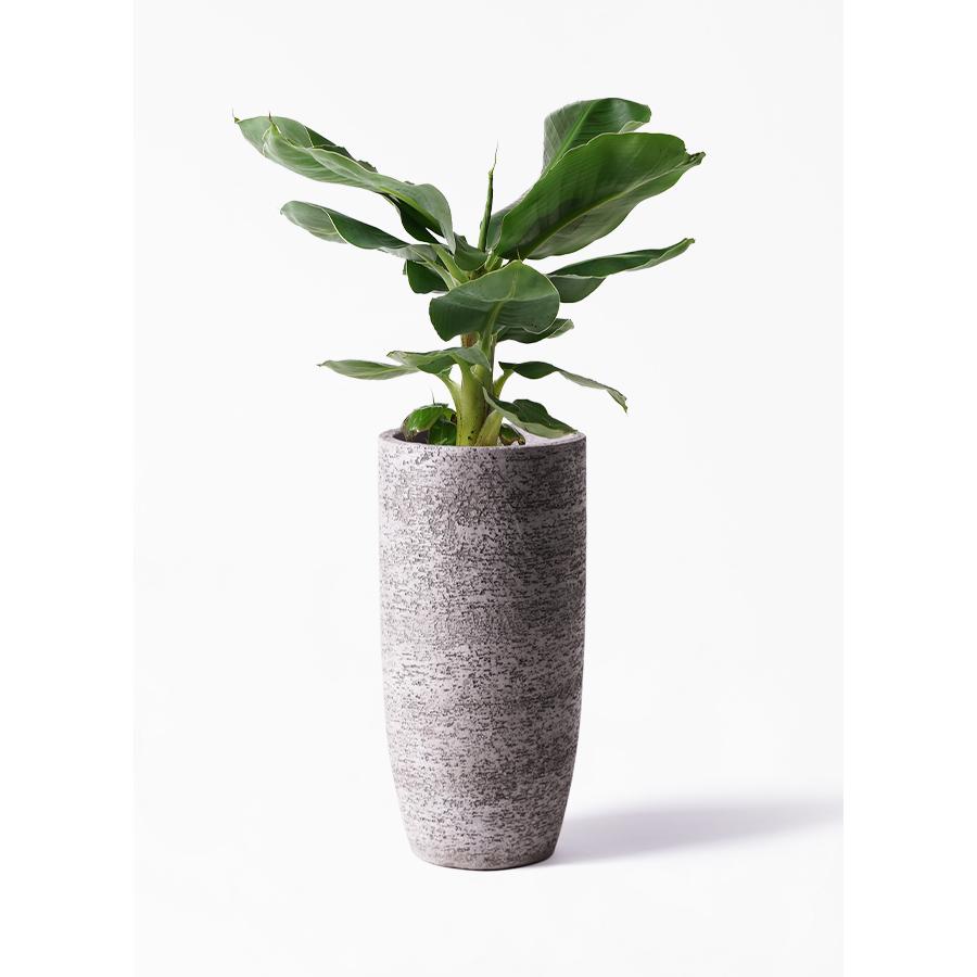 鉢カバー Eco Stone エコストーン 6号鉢用 グレー gray ホワイト white